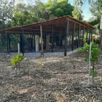 Vende-se linda Fazendinha  em São  Brás do Suaçuí/MG - Foto 17