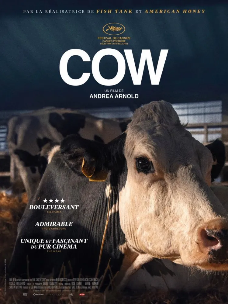 Cow (2021) Andrea Arnold DVD - legendas em português Imagem