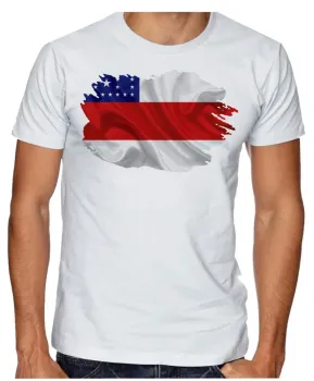 Camiseta adulto ou infantil Bandeiras Estado Amazonas - Foto 2