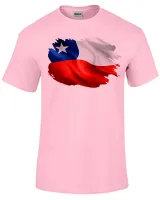 Camiseta adulto ou infantil Bandeira Chile america latina - Foto 5