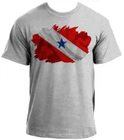 Camiseta adulto ou infantil Bandeira Pará - Foto 4