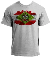 Camiseta adulto ou infantil Bandeira santa catarina - Foto 4