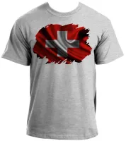 Camiseta adulto ou infantil Bandeira Suíça europa pais - Foto 4