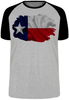 Camiseta adulto ou infantil Bandeira texas estados unidos