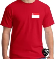 Camiseta adulto ou infantil Bandeira Cingapura Singapura - Foto 7