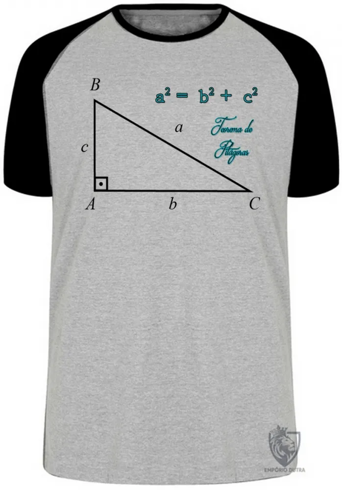 Camiseta adulto ou infantil Teorema de Pitágoras Matematica