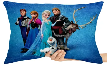 Capa de Almofada ou Travesseiro Frozen personagens