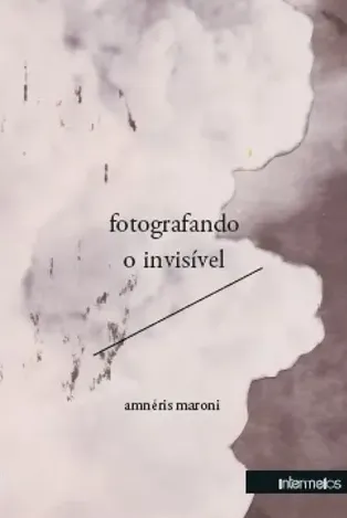  Fotografando o invisível – ensaios de psicanálise, cinema e literatura