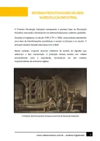 379 - História - A Revolução Industrial e o Desenvolvimento do Capitalismo - Sistemas Produtivos e Mão de Obra na Revolução Industrial - 8º ano - PDF com 6 páginas - Foto 2
