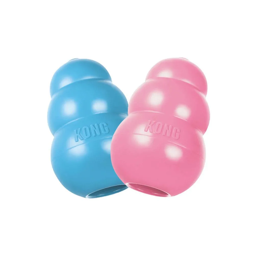 Kong Puppy - Azul ou Rosa