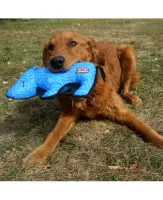 Kong Ballistic - Foto 7