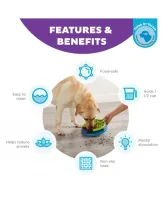 Lickin’ Layers - Foto 5