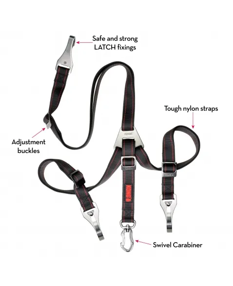 Kong Travel Ultimate Safety