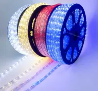 Mangueira Luminosa LED Varias Cores Rolo 100mts - Foto 3