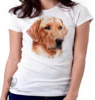 Baby look blusa feminina cachorro cão dog golden retriever labrador caramelo - Foto 5