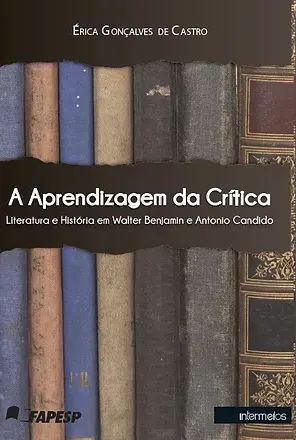  A aprendizagem da crítica – literatura e história em Walter Benjamin e Antonio Candido