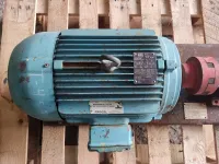 Bomba de Engrenagem Sanitária Inóx para Produtos Viscosos Motor 5cv 8 polos - Cód. 1115 - Foto 4