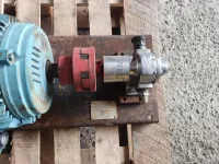 Bomba de Engrenagem Sanitária Inóx para Produtos Viscosos Motor 5cv 8 polos - Cód. 1115 - Foto 7