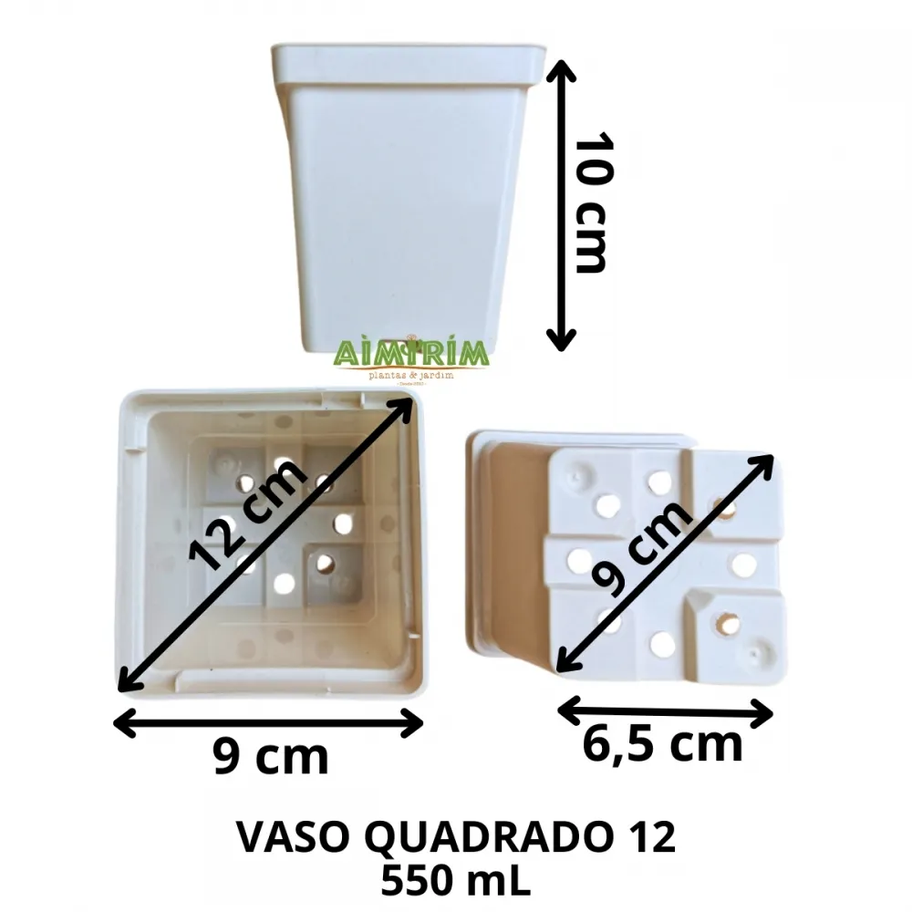 50 Vaso Branco Quadrado 12 com 550 mL 