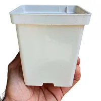 50 Vaso Branco Quadrado 12 com 550 mL  - Foto 3