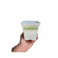 50 Vaso Branco Quadrado 12 com 550 mL  - Foto 4
