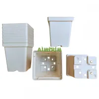 50 Vaso Branco Quadrado 12 com 550 mL  - Foto 6