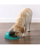 Dog Spin n’ Eat  - Foto 4