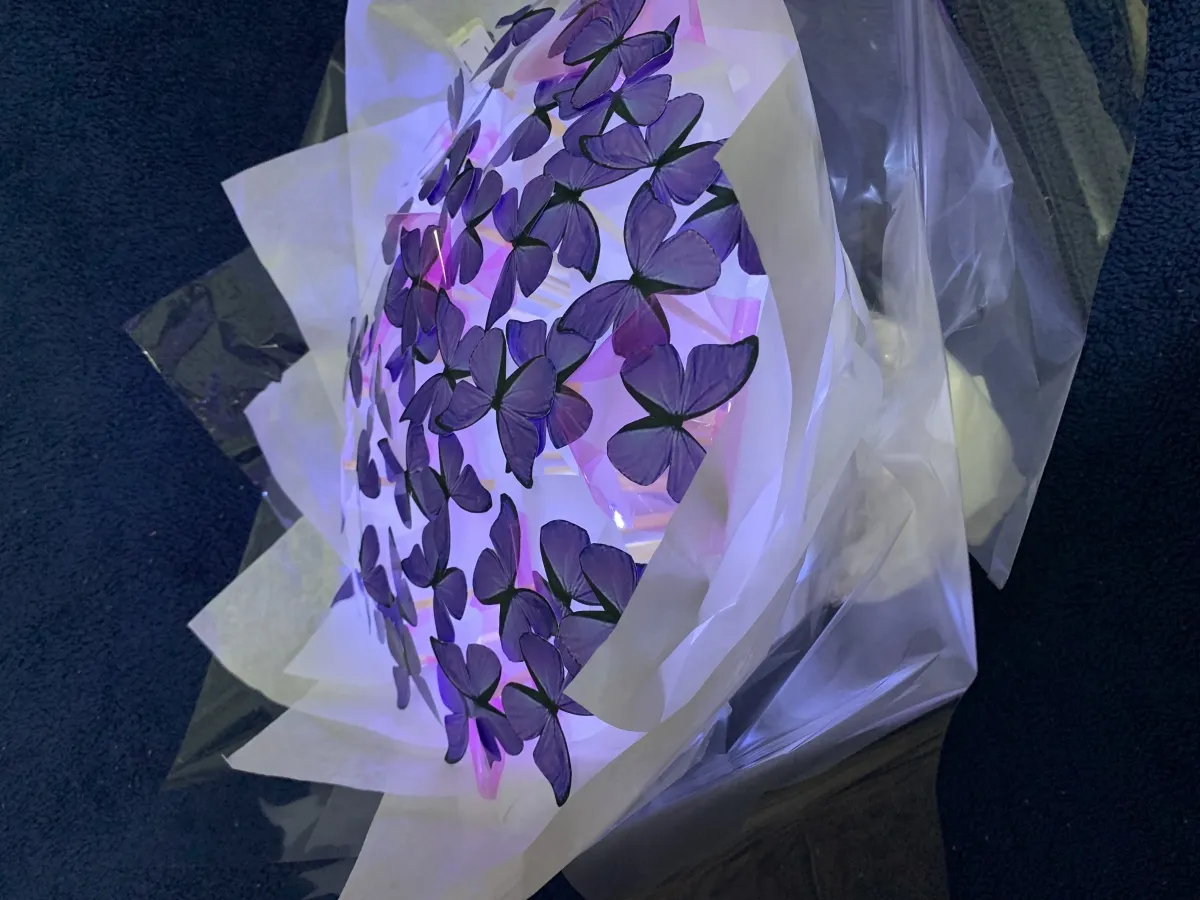 Buquê Borboleta 