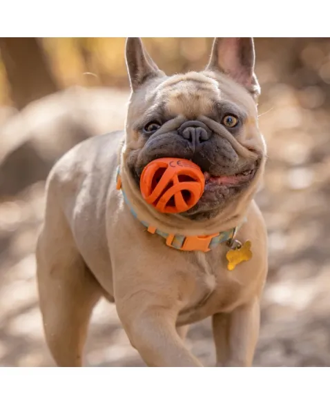 Air Fetch Ball