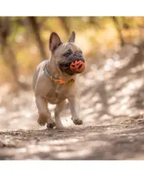 Air Fetch Ball - Foto 5