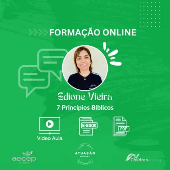 7 Princípios: Vídeo Aula + Apresentação em PDF + Ebook 