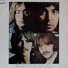 VINIL THE BEATLES FOREVER (PRODUTO USADO - BOM)