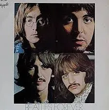 VINIL THE BEATLES FOREVER (PRODUTO USADO - BOM)