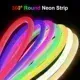 Mangueira Led neon Redonda 360° grau 100 metros Imagem