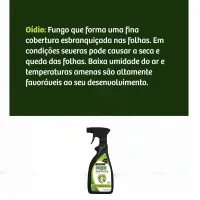 Forth Fungicida Ferrugem Oidio Pronto Uso 500 mL - Foto 3