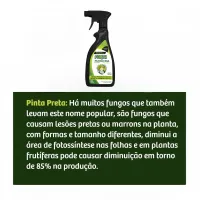 Forth Fungicida Ferrugem Oidio Pronto Uso 500 mL - Foto 4