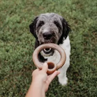 Benebone Ring - Foto 6