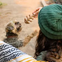 Benebone Fishbone - Foto 4