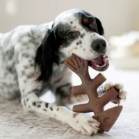 Benebone Fishbone - Foto 7