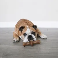 Benebone Zaggler - Foto 8