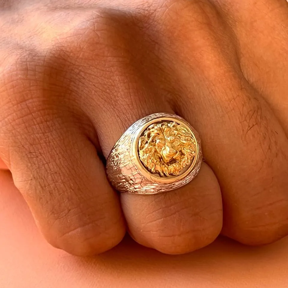 Anel masculino de prata - LEÃO -AN863-950 Imagem