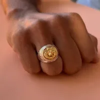 Anel masculino de prata - LEÃO -AN863-950 - Foto 2