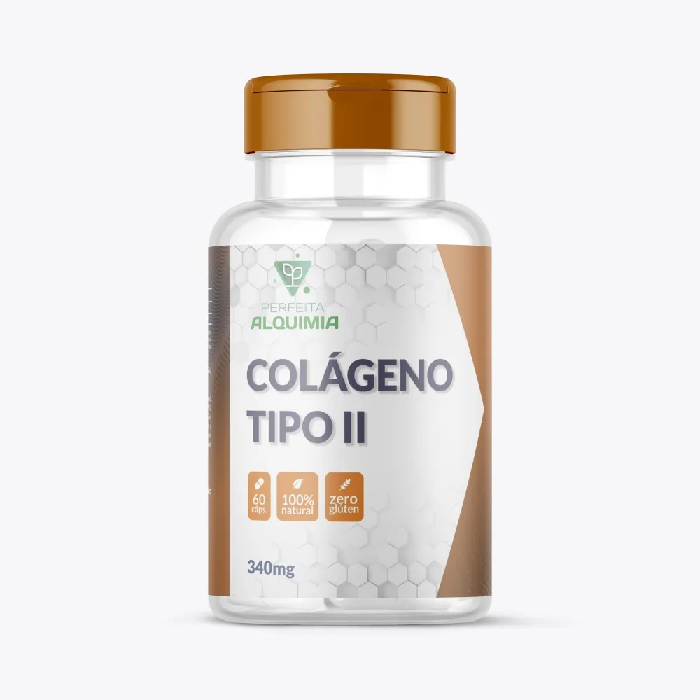 COLAGENO TIPO II 60 Imagem