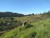 Vende-se lindo Sitio na Cidade de Carandaí - Foto 4