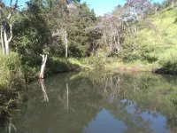 Vende-se lindo Sitio na Cidade de Carandaí - Foto 5