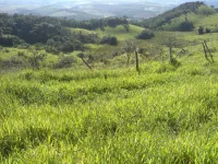Vende-se lindo Sitio na Cidade de Carandaí - Foto 6