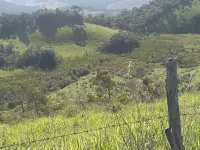 Vende-se lindo Sitio na Cidade de Carandaí - Foto 7