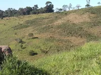 Vende-se lindo Sitio na Cidade de Carandaí - Foto 8
