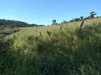 Vende-se lindo Sitio na Cidade de Carandaí - Foto 9