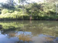 Vende-se lindo Sitio na Cidade de Carandaí - Foto 10